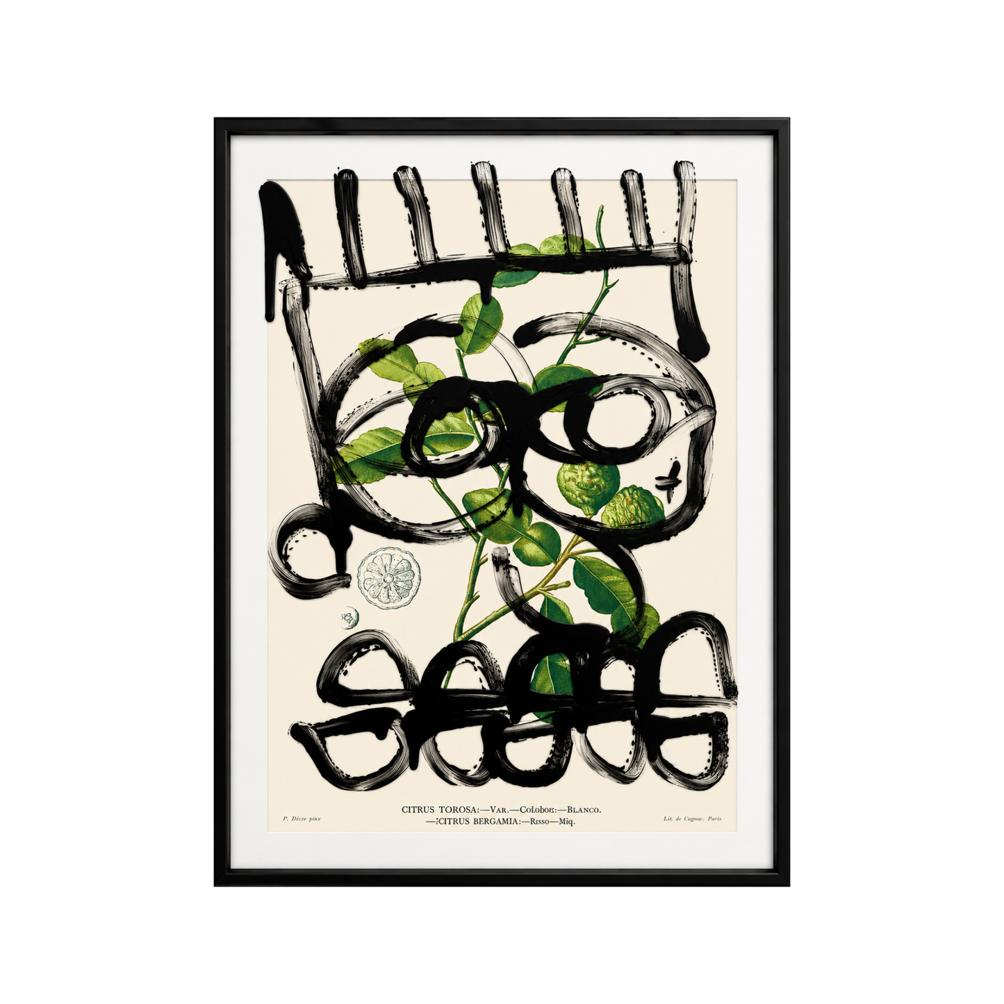 “Green Faces”